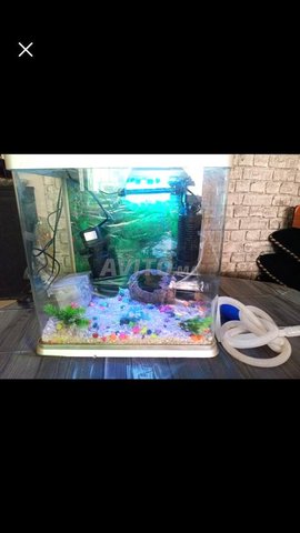Aquarium original avec ses accesoirs exelt etat
