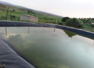 ferme situé à louata