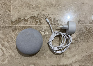 assistant google nest mini