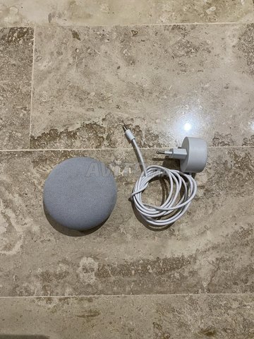 assistant google nest mini