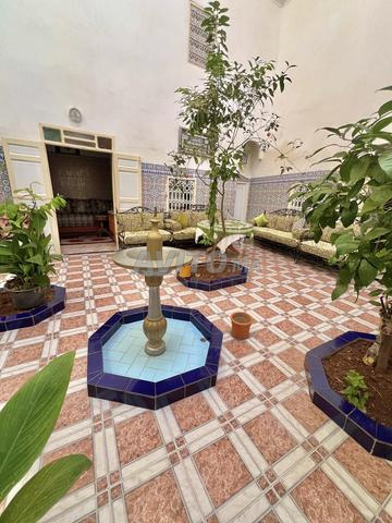 Riad et 2 Douiriat à Vendre - 2
