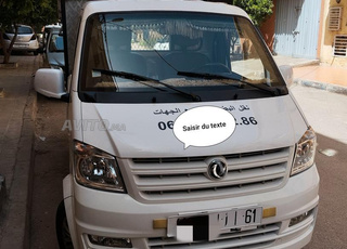 dfsk model 23/11/2021