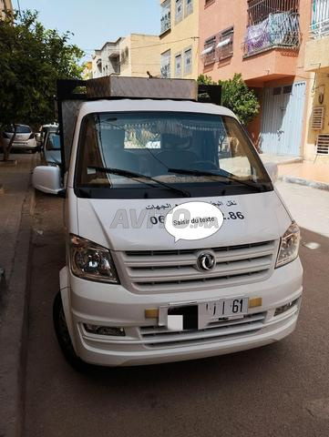 dfsk model 23/11/2021