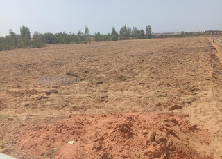 قطعة ارضية للبيع بنواحي مدينة تيفلت