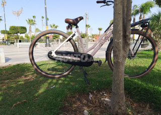 دراجة هوائية من نوع Gazelle 