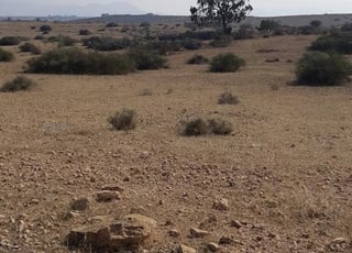 Terrain situé à la Qandoussi à vendre