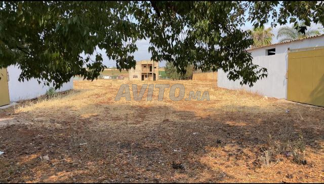 مزرعة موثقة للبيع - 2