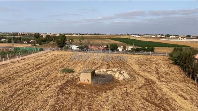 Ferme titrée à vendre - 2