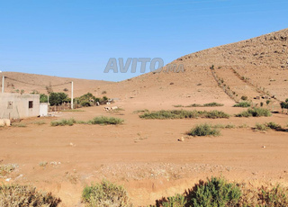 Terrain à 2km du rond point sahb al khil
