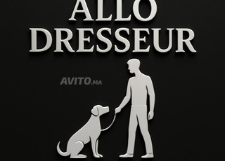 Dressage de chiens 