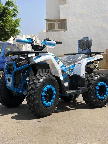 Quad électrique 6000W