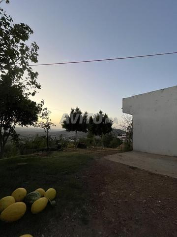 أرض للبيع في جبل لحبيب 2400 متر و  منزل 