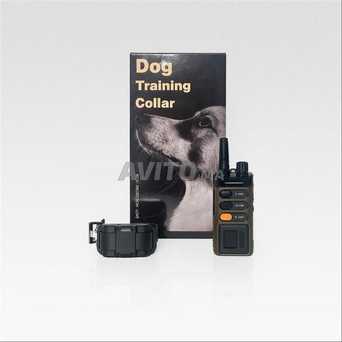 Collier électrique de dressage des chiens 