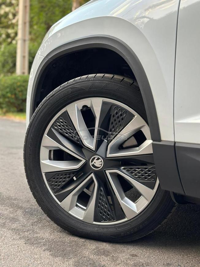 skoda karog avendre