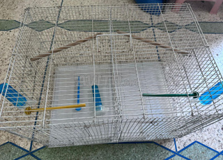 spariya kbira o joj sipariyat bi kolchi lihom