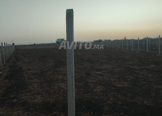 À vendre terrain à Benslimane 2500 m²