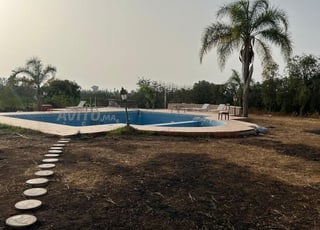 À vendre - Propriété exceptionnelle à Benslimane