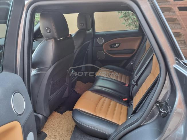 evoque black line dynamic tt option