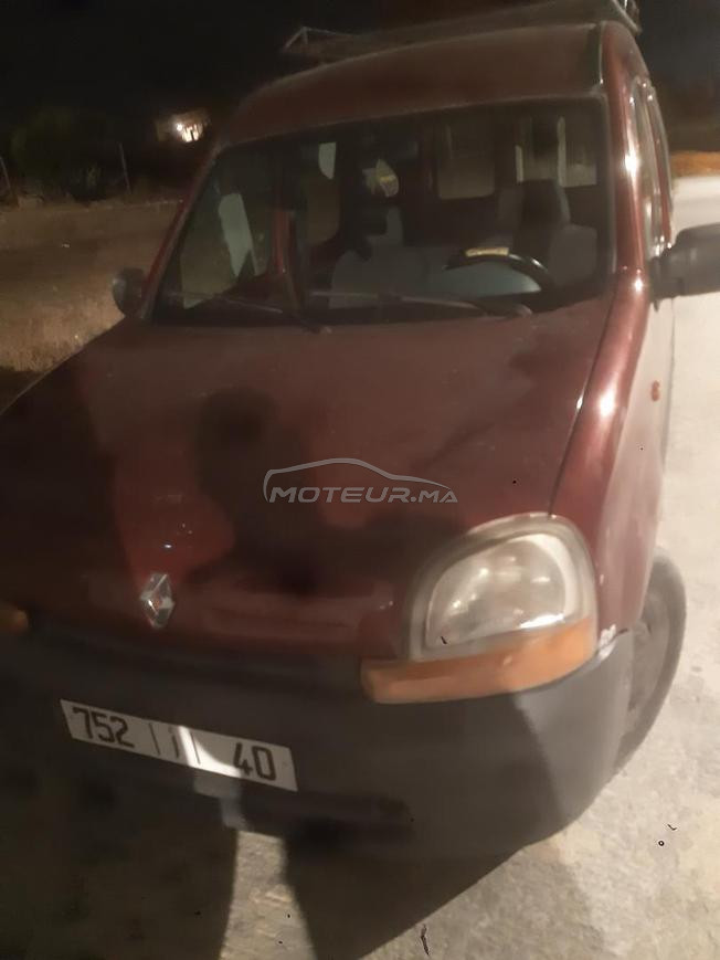kangoo