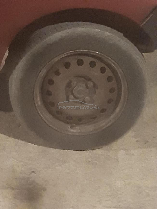 kangoo