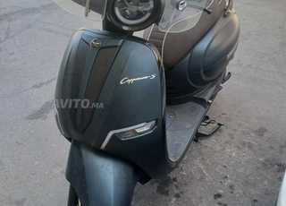 moto cappuccino à vendre