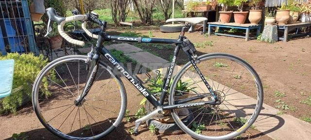 Vélo à vendre en très bonne état en carbone 