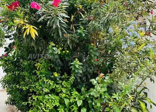 villa à vendre à Safir -Tétouan-