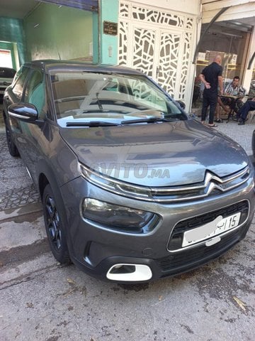 C4 cactus toutes options 