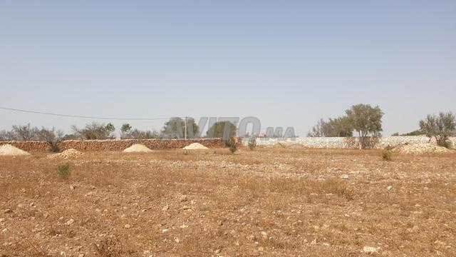 Tres beau terrain titré à 12 km d'Essaouira