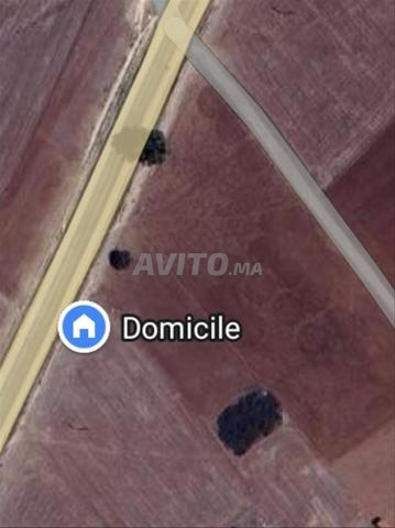 أرض ملكية للبيع بالقرب حد ولاد فرج - 2