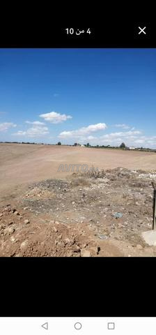 بقعه للبيع. bonne affaire dokkalla - 2