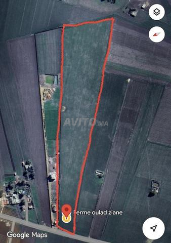 Terrain agricole titré 6 Ha Oulad Ziane Casablanca