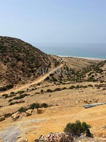 Investissement idéal Terrain vue mer près d’Asilah - 2