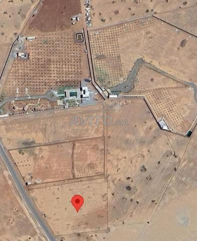 Terrain titré 1ha a 20min de marrakech
