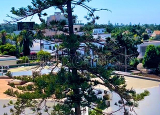 À LOUER APPARTEMENT VUE PANORAMIQUE VÉLODROME 