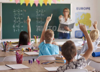 professeurs /enseignants/assistants(e)