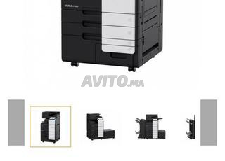 أساكا تيكوين