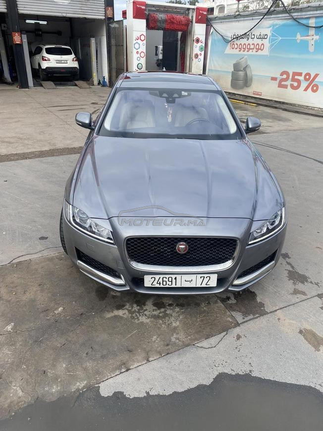 La Meilleure Jaguar XF à Casablanca