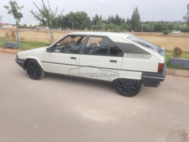 البساتين مكناس المغرب