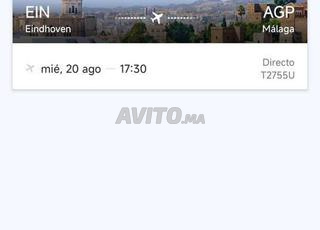 billet de voyage a vendre