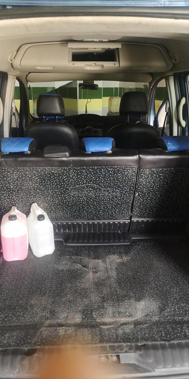 kangoo
