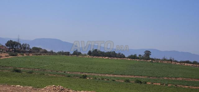 9hictares agricoles barkan madar