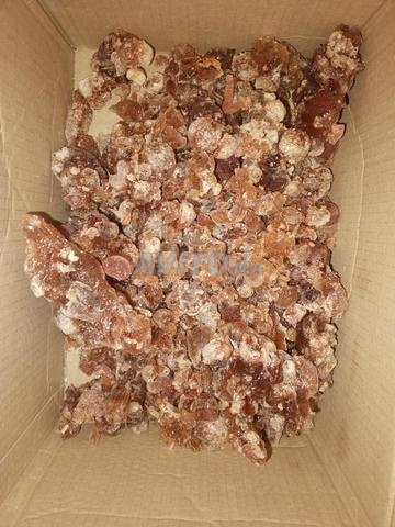 🌿 علكة صحراوية طبيعية 100 نكهة أصيلة