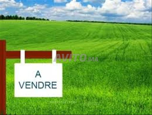 TERRAIN ANGLE R 3 SUR BD À OASIS 1327M