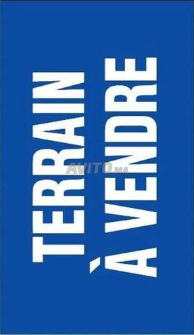 Terrain à vendre R3 Safi, Sidi Bouzid - 2