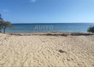 Terrain en bord de mer à vendre  plage Oued Alian