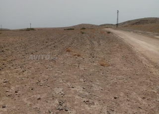 Terrain à vendre 5 HT