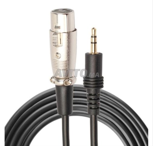 câble microphone xlr jack