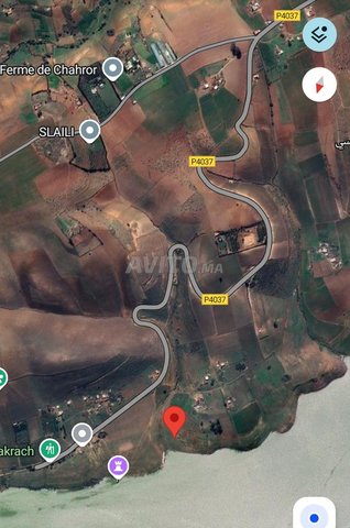 Terrain agricole 3 ha à vendre à Essehoul vue lac