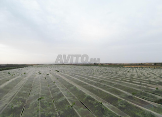 فيرمة للبيع 